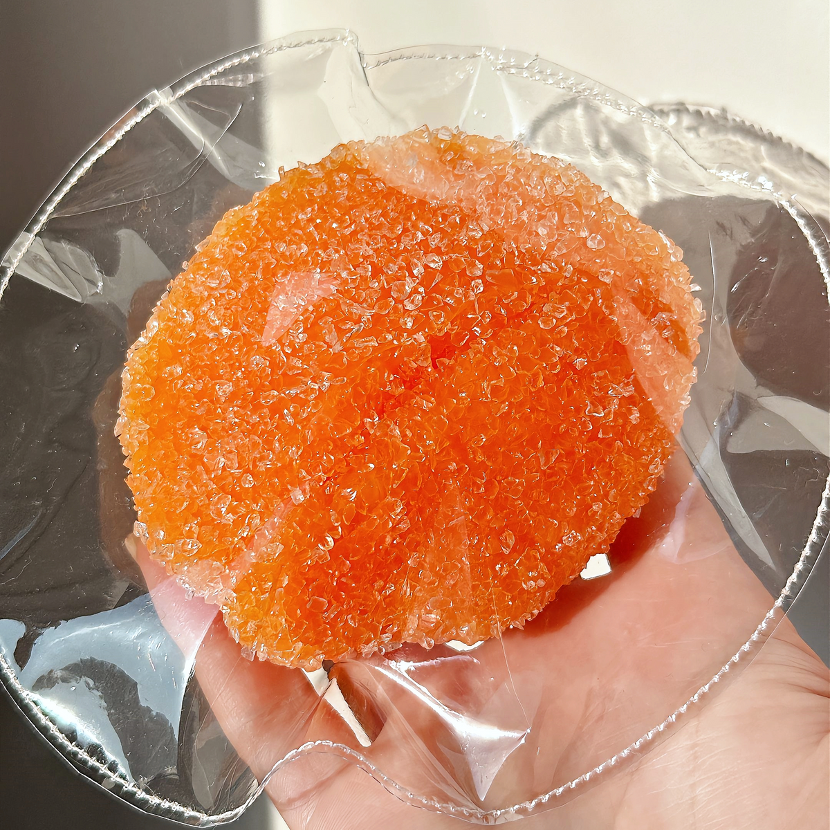 Citrus Squishy
