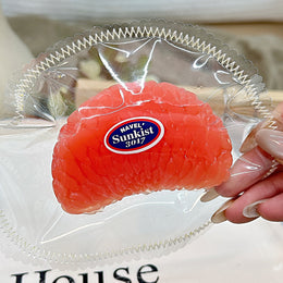 Citrus Squishy
