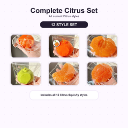 Complete Citrus Squishy set with all current styles
