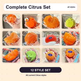 Complete Citrus Squishy set with all current styles