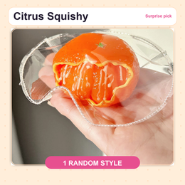 Citrus Squishy random pick with one style selected by TODO FUN