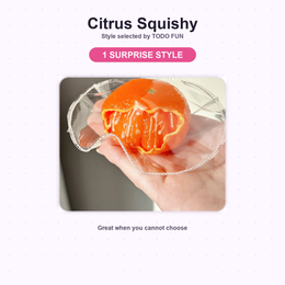 Citrus Squishy surprise pick, one style selected by TODO FUN
