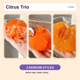 Citrus Squishy trio with three random styles