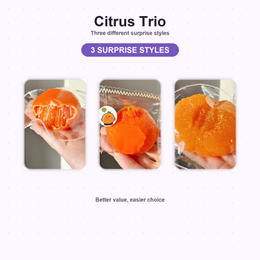Citrus Squishy trio with three surprise styles