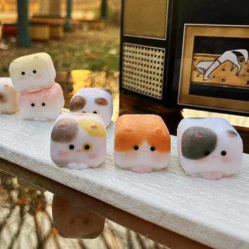 Cube Cat Squishy