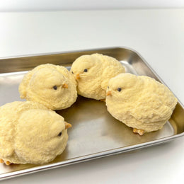 Baby Chick Slow-Rise Silicone Squishy